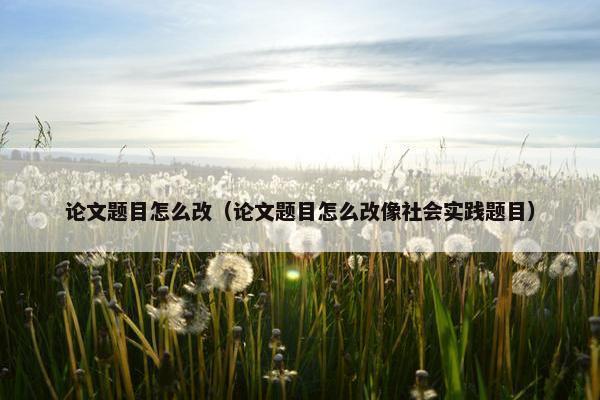 论文题目怎么改（论文题目怎么改像社会实践题目）