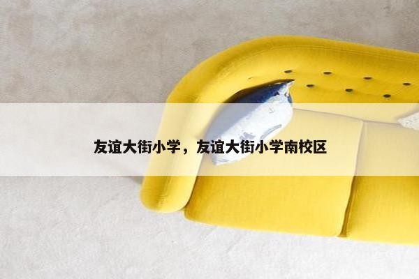友谊大街小学，友谊大街小学南校区