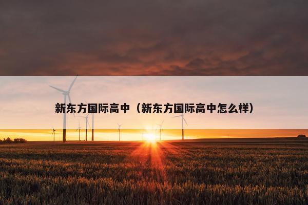 新东方国际高中（新东方国际高中怎么样）