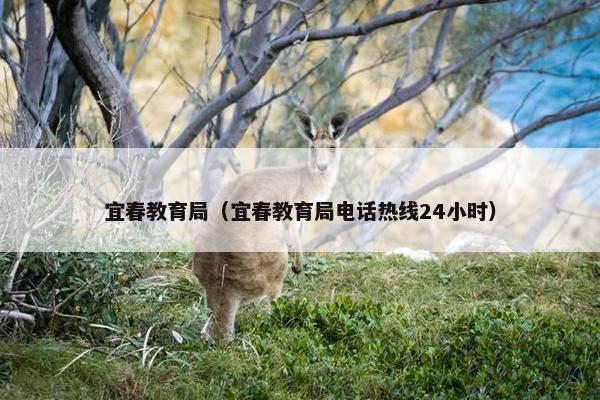 宜春教育局（宜春教育局电话热线24小时）