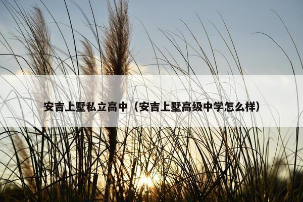 安吉上墅私立高中（安吉上墅高级中学怎么样）