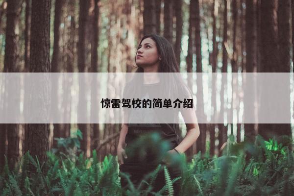惊雷驾校的简单介绍