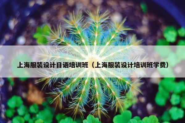 上海服装设计日语培训班（上海服装设计培训班学费）
