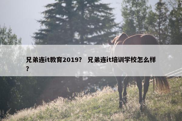 兄弟连it教育2019？ 兄弟连it培训学校怎么样？