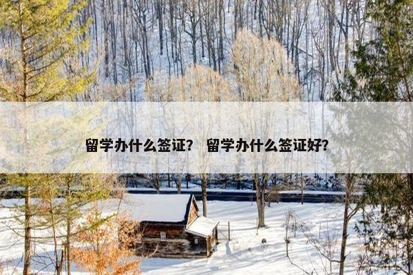 留学办什么签证？ 留学办什么签证好？