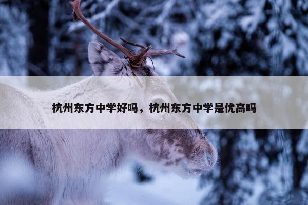 杭州东方中学好吗，杭州东方中学是优高吗