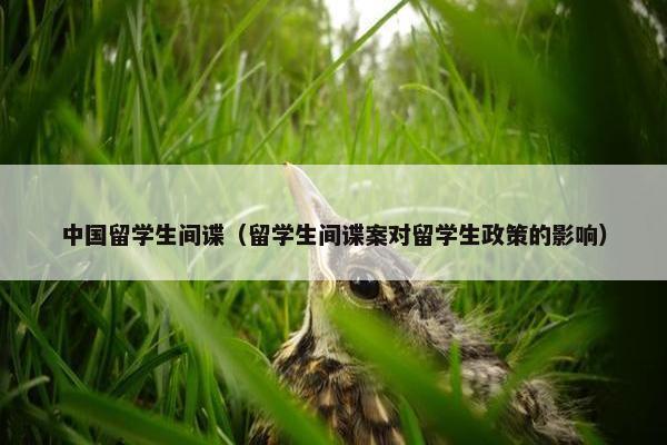 中国留学生间谍（留学生间谍案对留学生政策的影响）