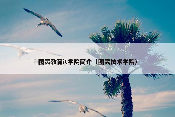图灵教育it学院简介（图灵技术学院）