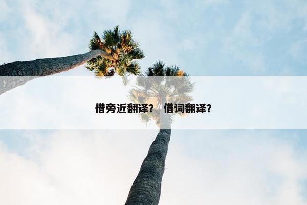 借旁近翻译？ 借词翻译？