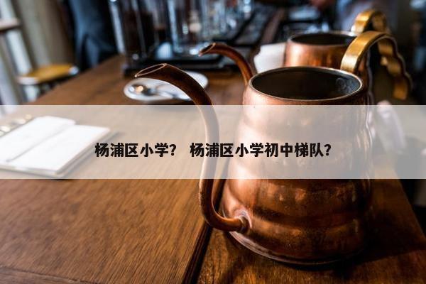 杨浦区小学？ 杨浦区小学初中梯队？