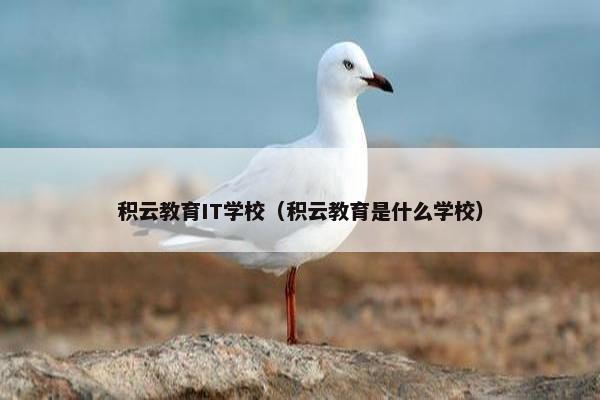 积云教育IT学校（积云教育是什么学校）