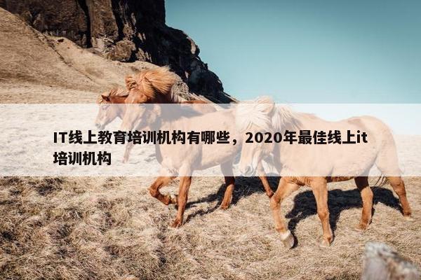 IT线上教育培训机构有哪些，2020年最佳线上it培训机构