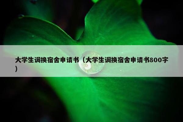 大学生调换宿舍申请书（大学生调换宿舍申请书800字）