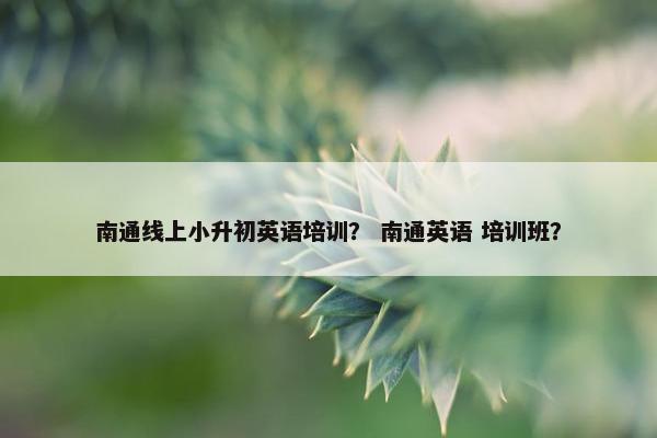 南通线上小升初英语培训？ 南通英语 培训班？