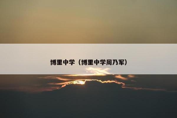 博里中学（博里中学周乃军）