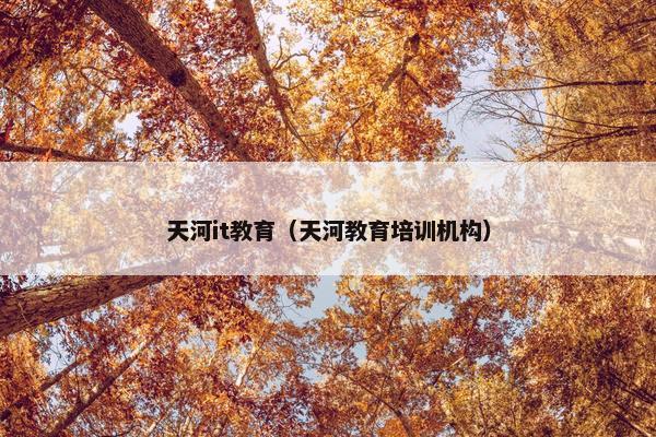 天河it教育（天河教育培训机构）