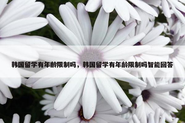 韩国留学有年龄限制吗，韩国留学有年龄限制吗智能回答