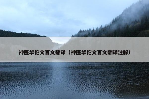 神医华佗文言文翻译（神医华佗文言文翻译注解）