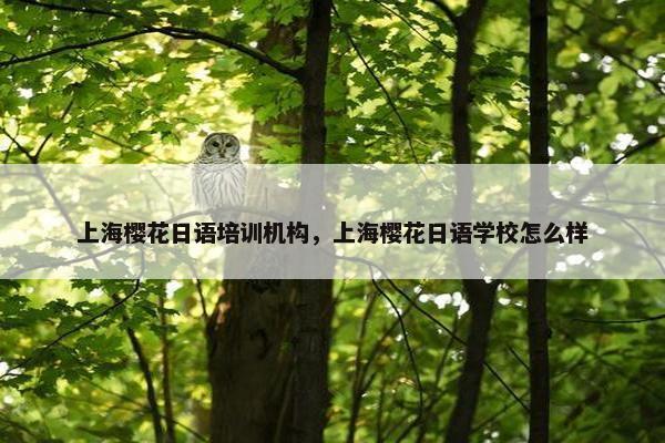 上海樱花日语培训机构，上海樱花日语学校怎么样