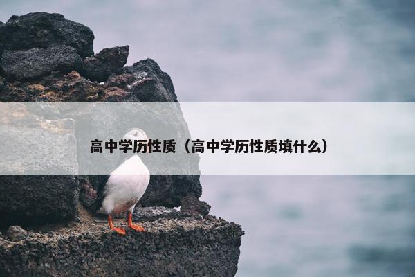 高中学历性质（高中学历性质填什么）