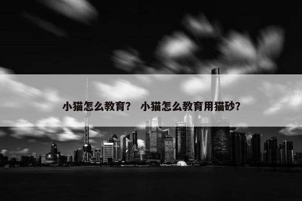 小猫怎么教育？ 小猫怎么教育用猫砂？