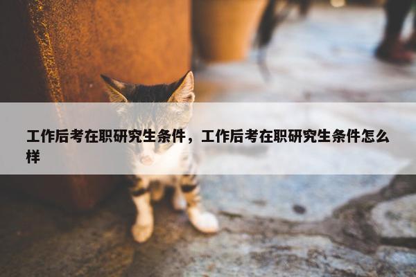 工作后考在职研究生条件，工作后考在职研究生条件怎么样