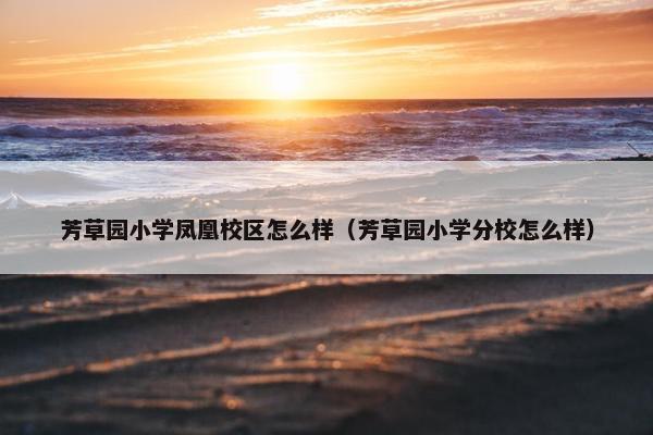 芳草园小学凤凰校区怎么样（芳草园小学分校怎么样）