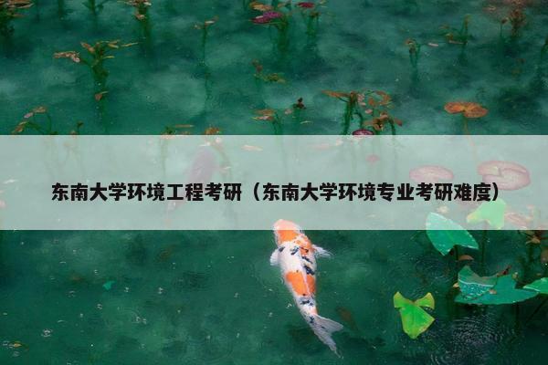 东南大学环境工程考研（东南大学环境专业考研难度）