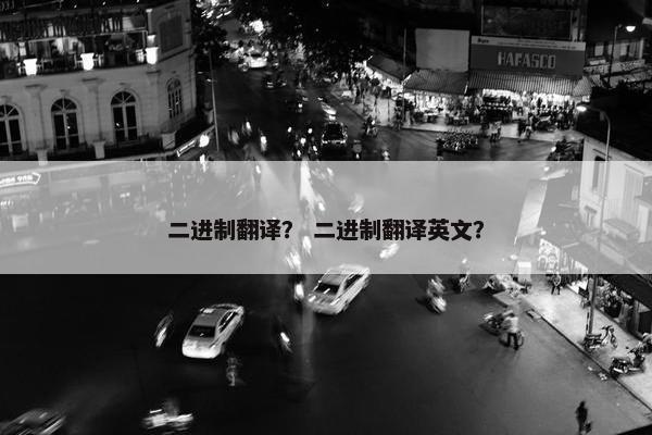 二进制翻译？ 二进制翻译英文？