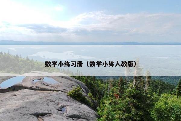 数学小练习册（数学小练人教版）
