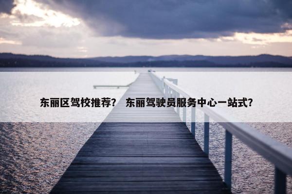 东丽区驾校推荐？ 东丽驾驶员服务中心一站式？
