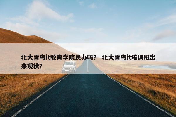北大青鸟it教育学院民办吗？ 北大青鸟it培训班出来现状？