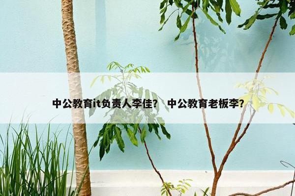 中公教育it负责人李佳？ 中公教育老板李？