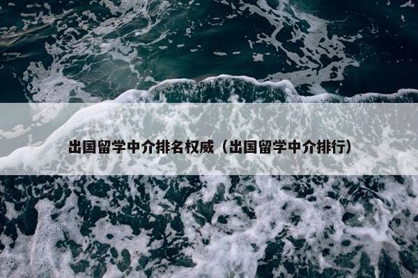 出国留学中介排名权威（出国留学中介排行）