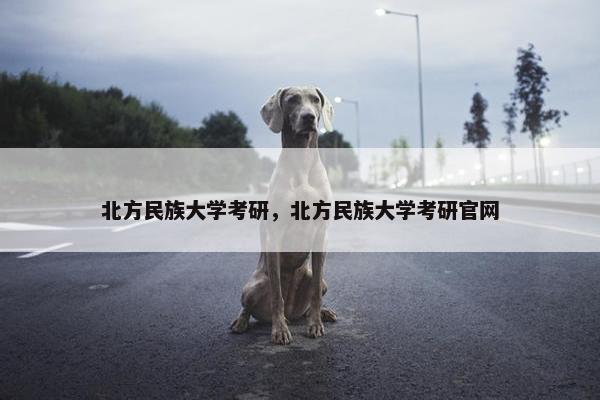 北方民族大学考研，北方民族大学考研官网