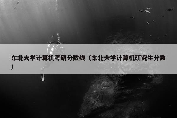 东北大学计算机考研分数线（东北大学计算机研究生分数）