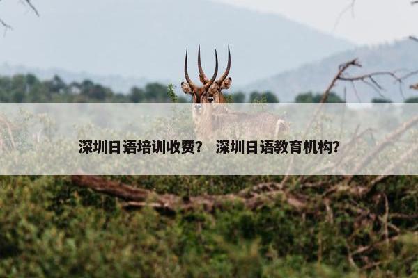 深圳日语培训收费？ 深圳日语教育机构？