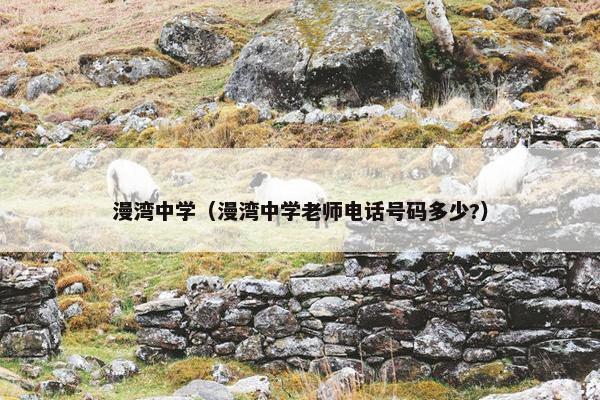 漫湾中学（漫湾中学老师电话号码多少?）