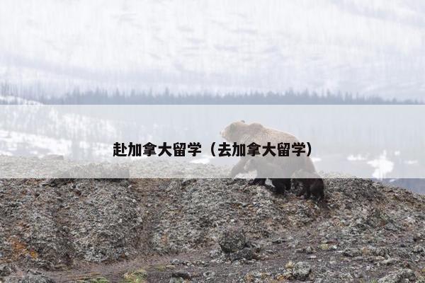 赴加拿大留学（去加拿大留学）