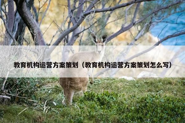 教育机构运营方案策划（教育机构运营方案策划怎么写）