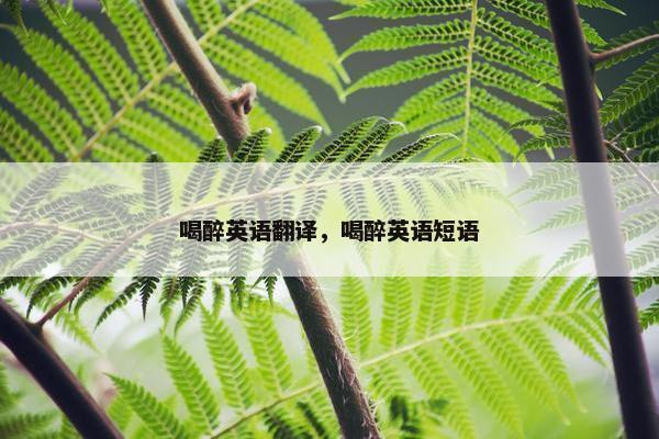 喝醉英语翻译，喝醉英语短语