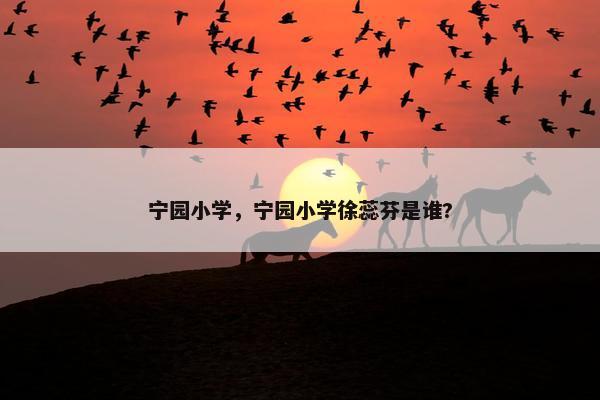 宁园小学，宁园小学徐蕊芬是谁?