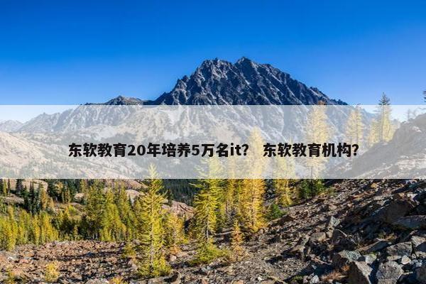 东软教育20年培养5万名it？ 东软教育机构？