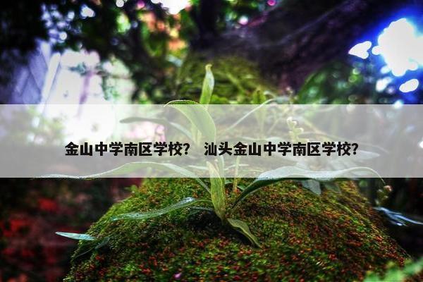 金山中学南区学校？ 汕头金山中学南区学校？