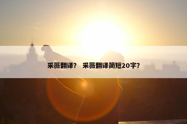 采薇翻译？ 采薇翻译简短20字？