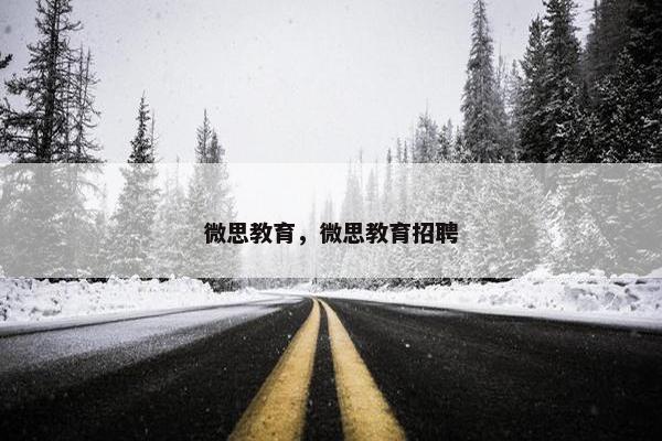 微思教育，微思教育招聘
