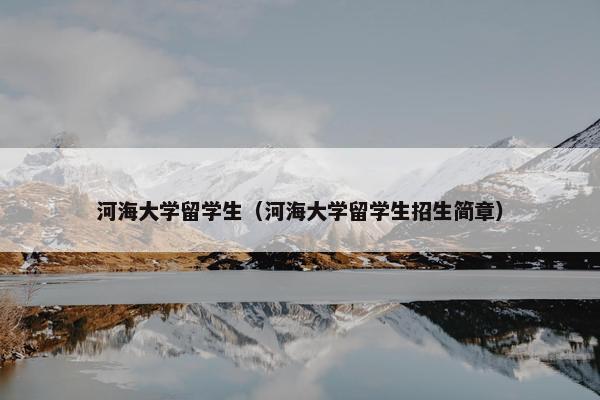 河海大学留学生（河海大学留学生招生简章）