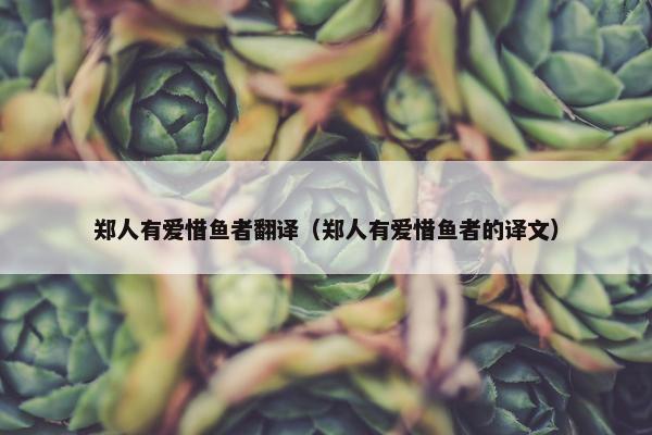 郑人有爱惜鱼者翻译（郑人有爱惜鱼者的译文）