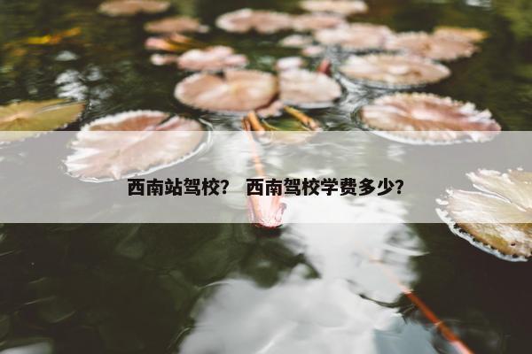 西南站驾校？ 西南驾校学费多少？