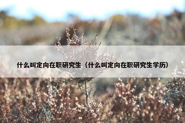 什么叫定向在职研究生（什么叫定向在职研究生学历）